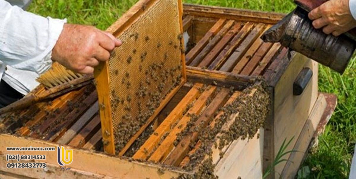 ایجاد شرکت زنبورداری